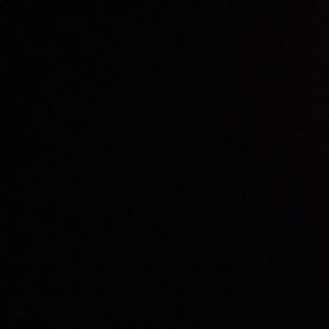 Meet your Posher, Isabella